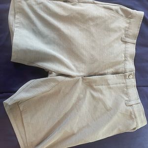 BYLT Basics Kinetic shorts. I’ve never warn them as they are too small for me.